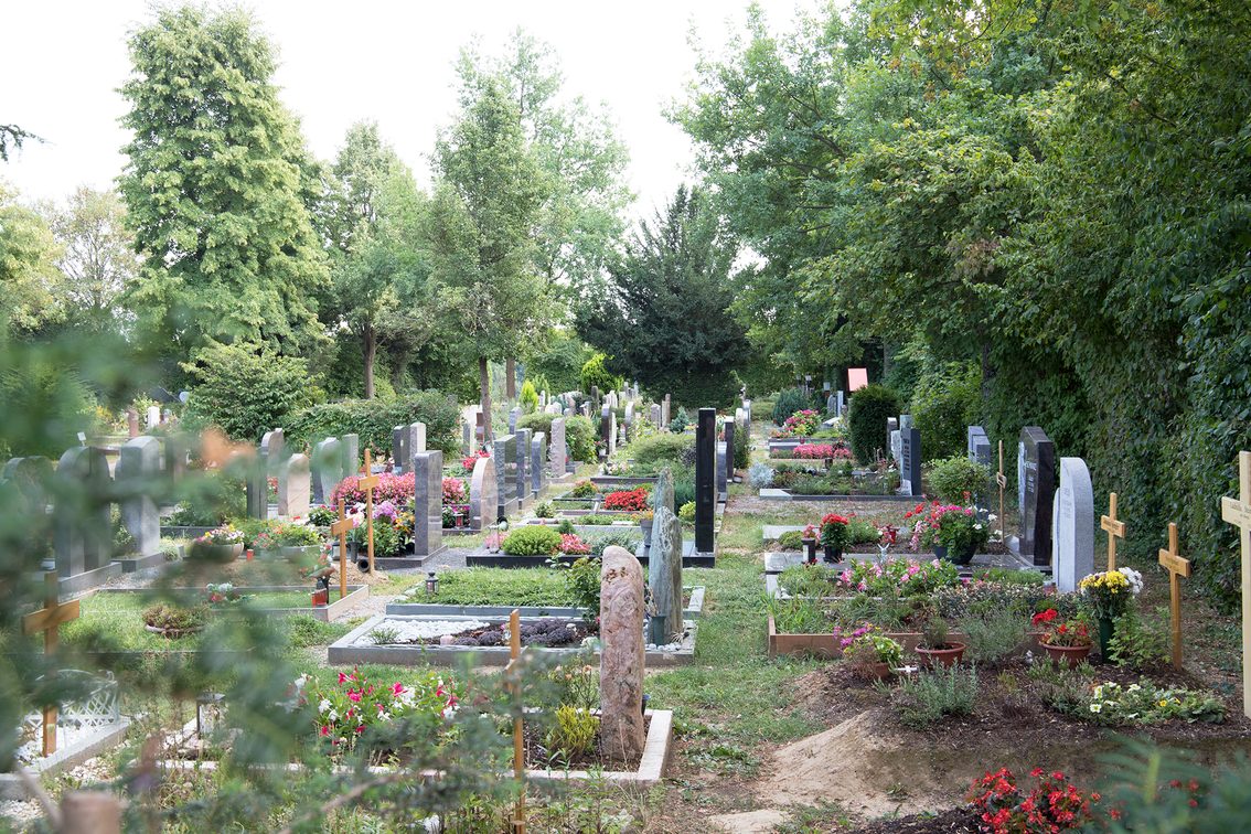Natur pur: Ein Grabfeld auf dem Bezirksfriedhof Mainz-West.