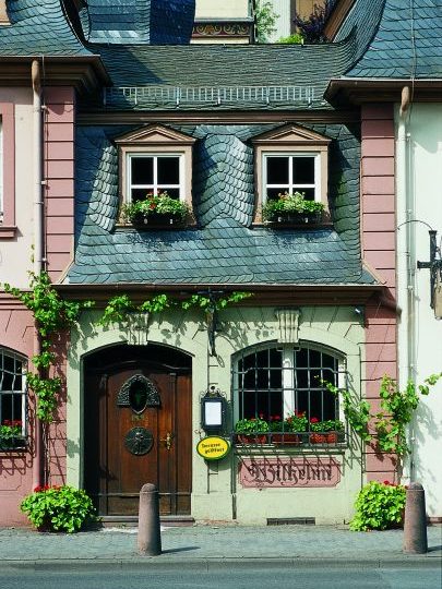 Maison du vin Wilhelmi