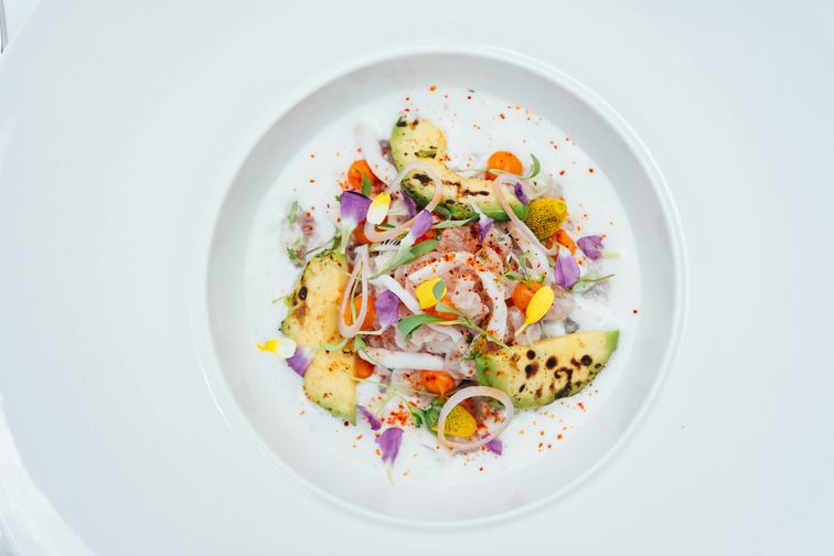 Pstrąg ceviche w Steins Traube