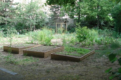Plates-bandes dans le jardin de la Neustadt Gartenfeld
