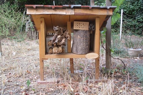 Un hôtel pour insectes dans le jardin Gartenfeld de la Neustadt