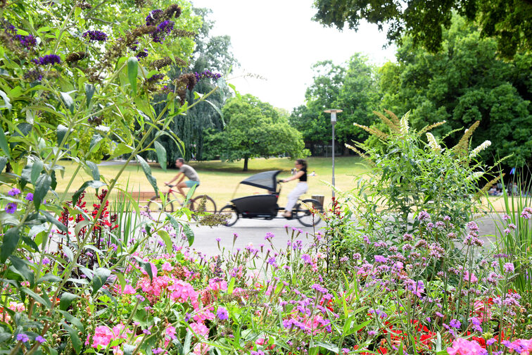 Blühende Wiese und Fahrrad fahrende Menschen im Hintergrund
