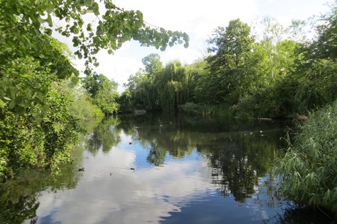 Lerchenberger Teich