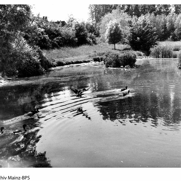 Lerchenberger Teich früher