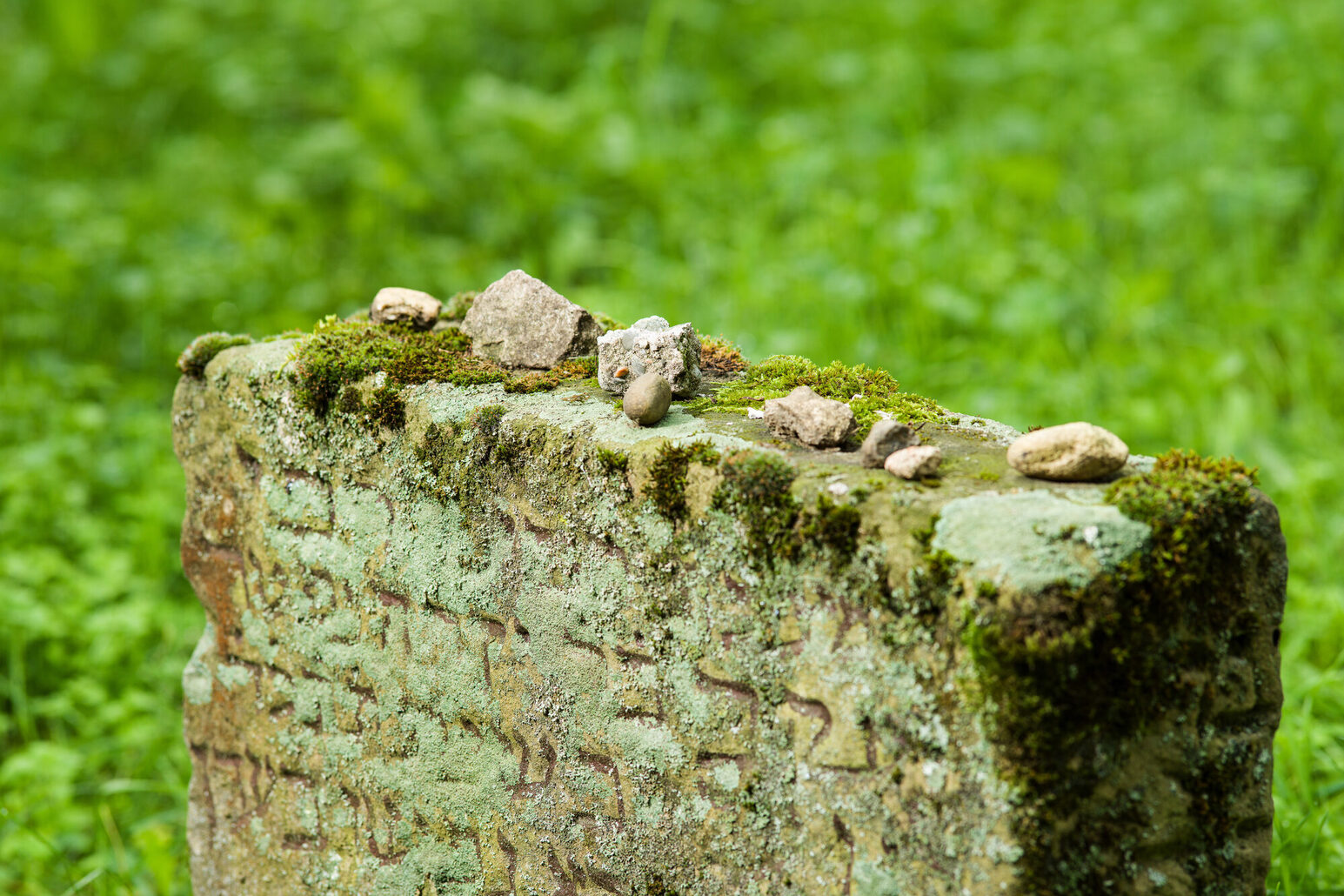 Jewish gravestones from medieval Magenza (Photo: Carsten Costard)