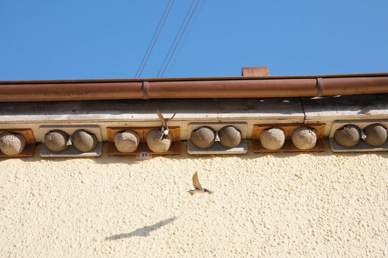 Artystyczna pomoc w zagnieżdżaniu