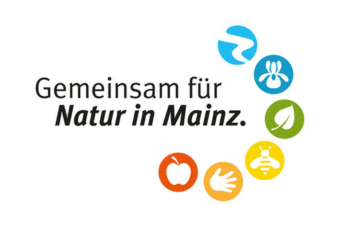 mediamachine_mainzplus