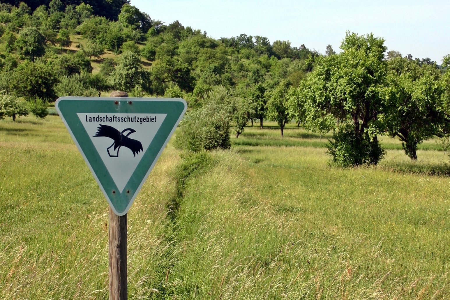 Area di conservazione del paesaggio