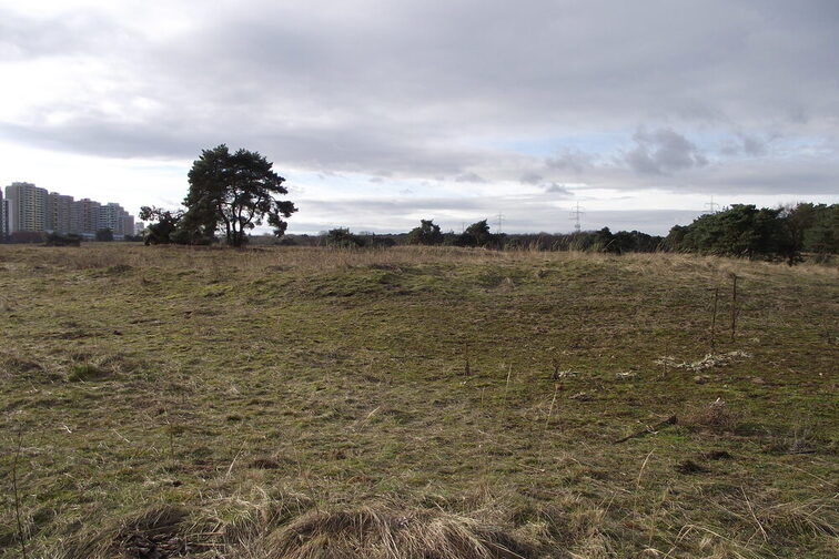 Blick über den Mainzer Sand