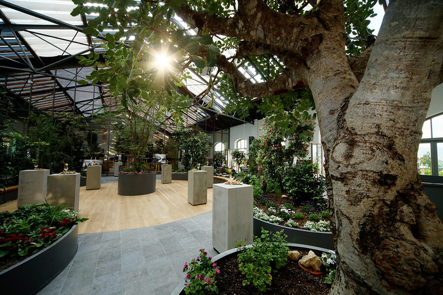 Колишній цех для пресування вина перетворили на критий сад.