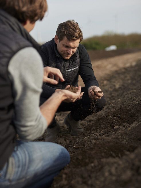 Zwei Winzer bei der Arbeit