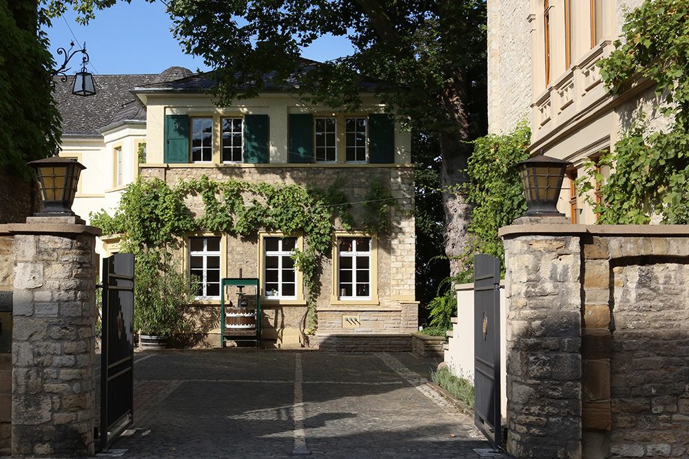 Domaine viticole Neus