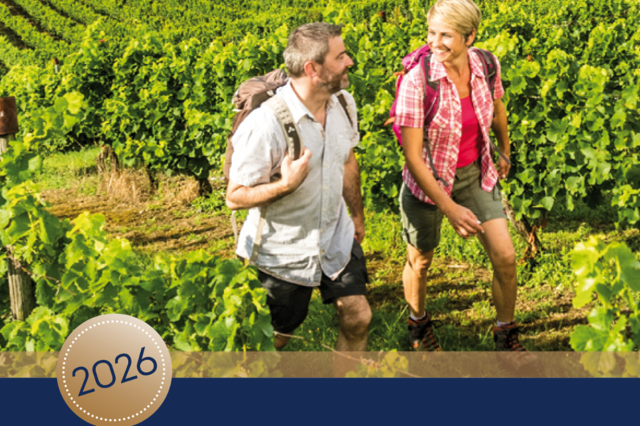 Titelbild Weinführer 2026: ein Mann und eine Frau im Weinberg