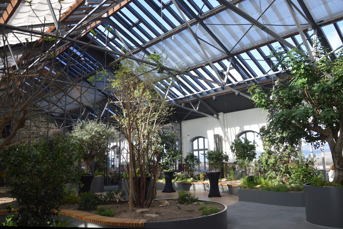 Plantes dans l'ancienne salle des pressoirs