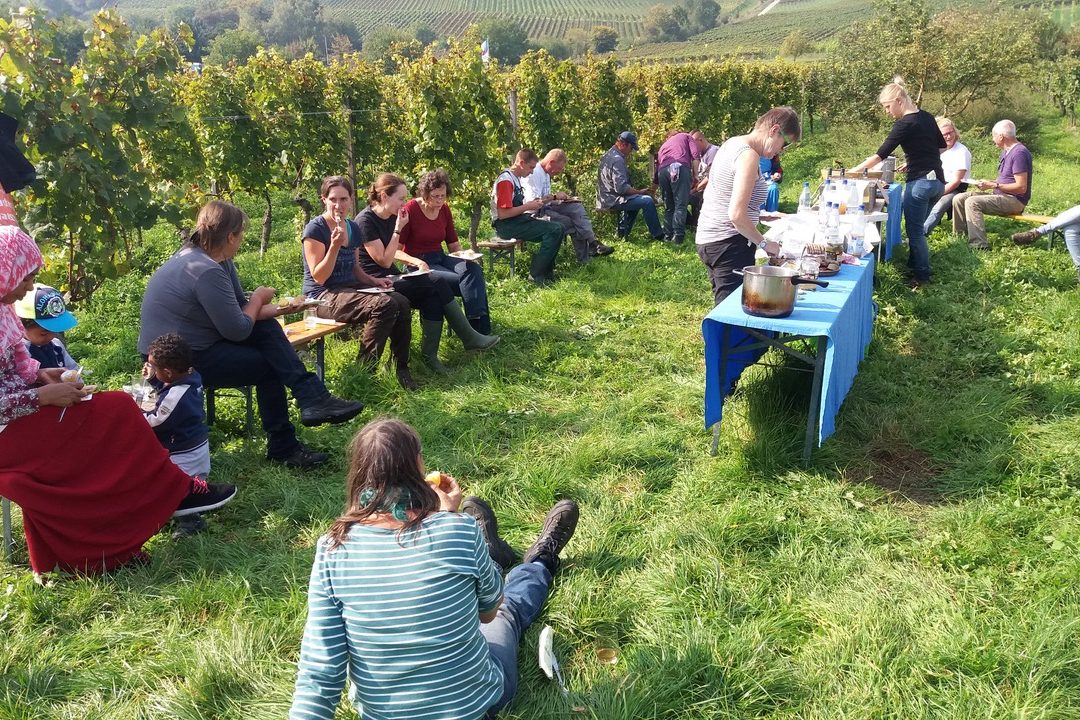 Invités dans le vignoble