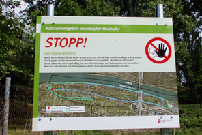 Naturschutzgebiet Mombacher Rheinufer © Landeshauptstadt Mainz