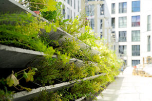 Stadtgrün symbolisch für Klimaschutz &copy; AdobeStock