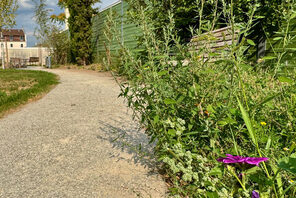 Pocket-Park in Mainz Mombach © Landeshautpstadt Mainz