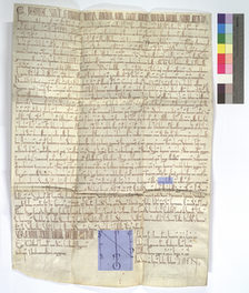 Kaiserurkunde von 1173 mit Markierungen.