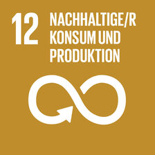 SDG 12 Nachhaltiger Konsum