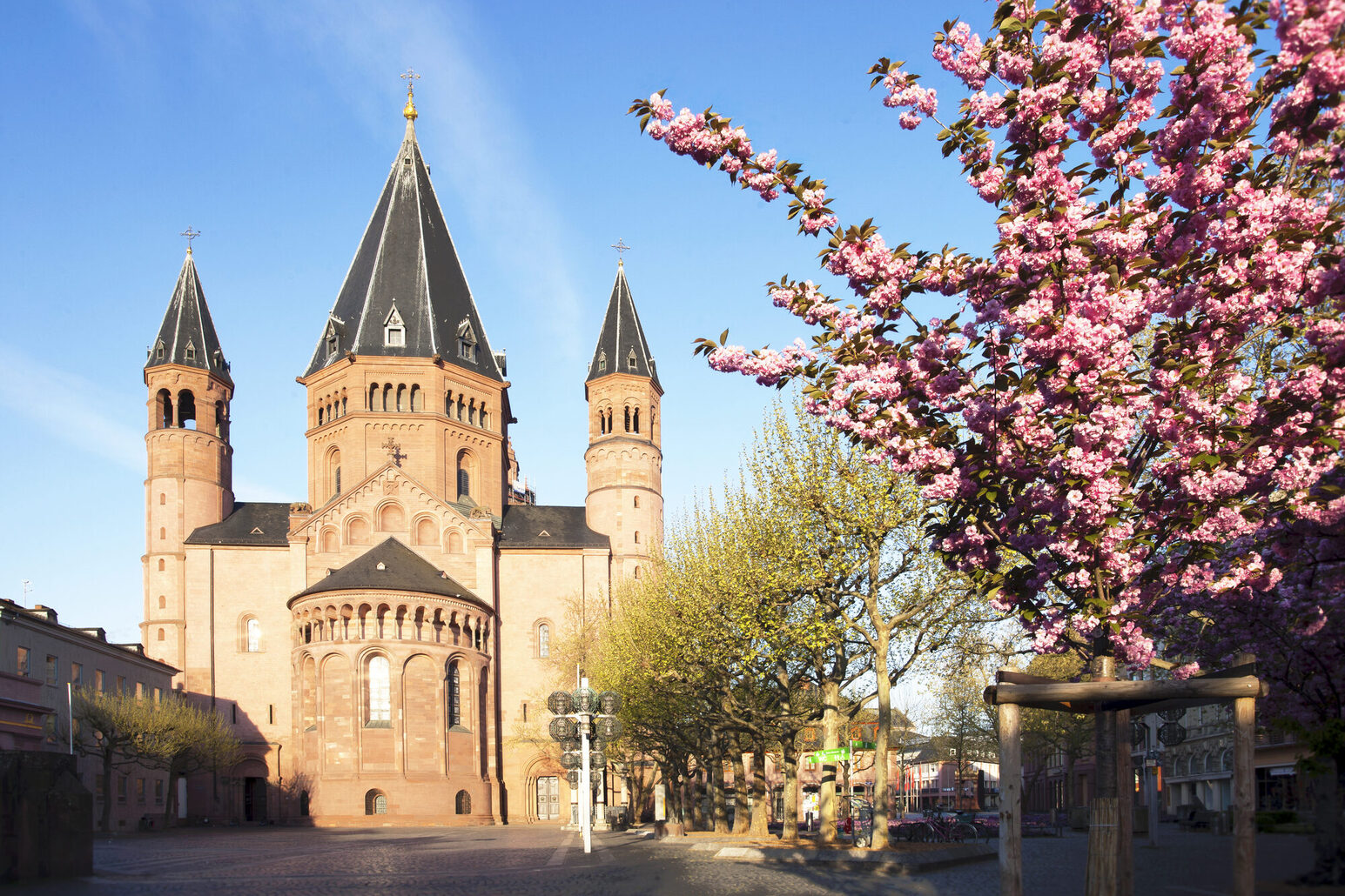 Mainzer Dom vor blauem Himmel, rechts blühende Bäume