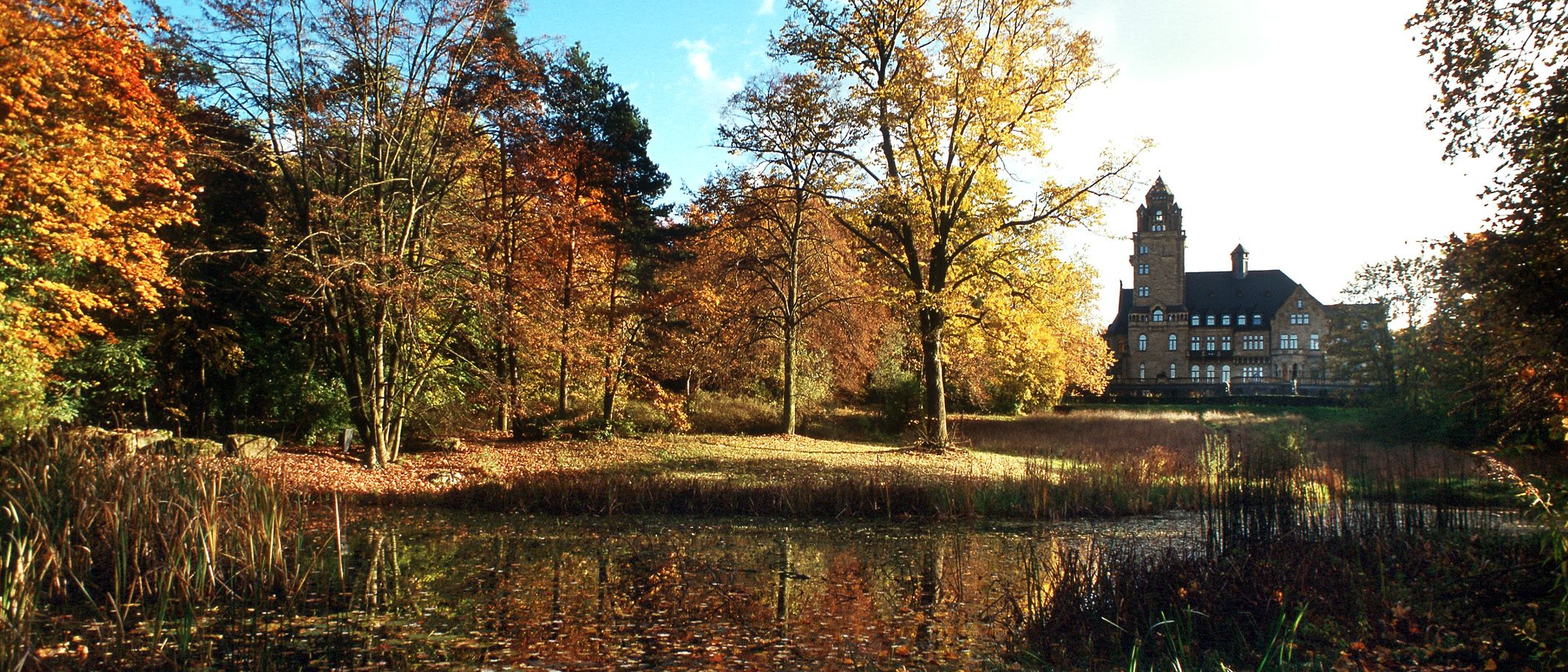 An autumn scene with colorful leaves on trees and shrubs, featuring a pond in the foreground and a castle (Waltdhausen Castle) in the background.