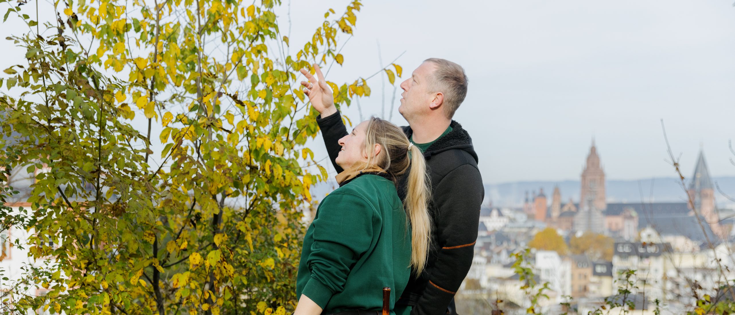 Eine Frau und ein Mann in Arbeitskleidung begutachten einen Baum, im Hintergrund die Silhouette der Altstadt mit den Kirchturmspitzen des Mainzer Doms.