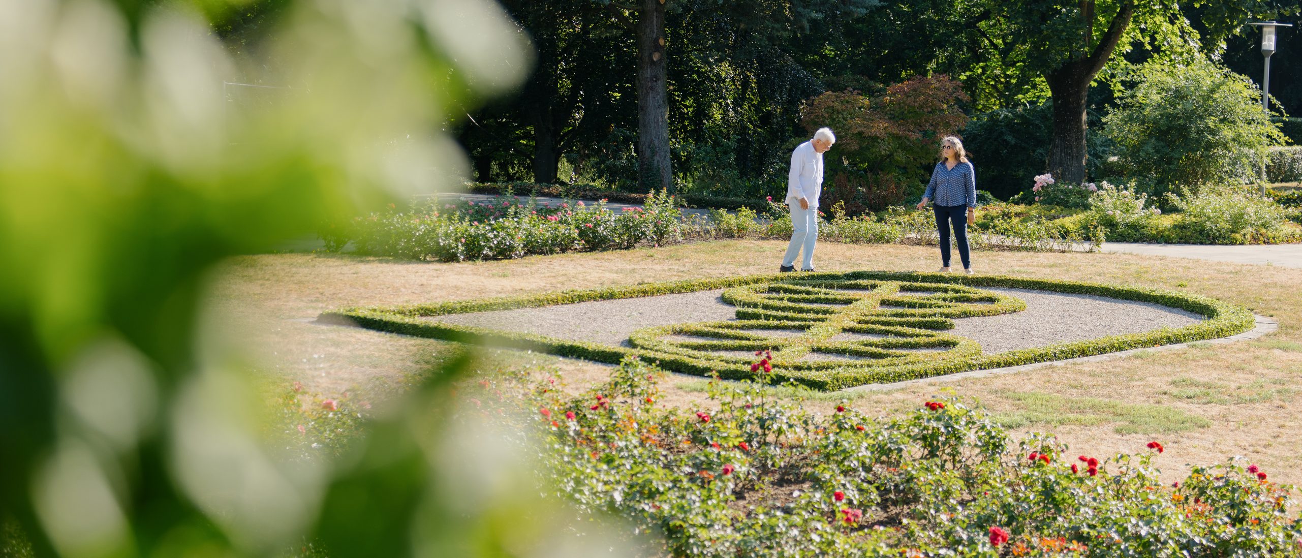 Der Rosengarten im Stadtpark, im Hintergrund sind eine Mann und eine Frau zu sehen, die sich ein Beet ansehen im Stil des Mainzer Rades.