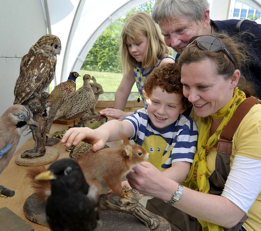 Ein kleiner Junge streichelt ein ausgestopftes Eichhörnchen