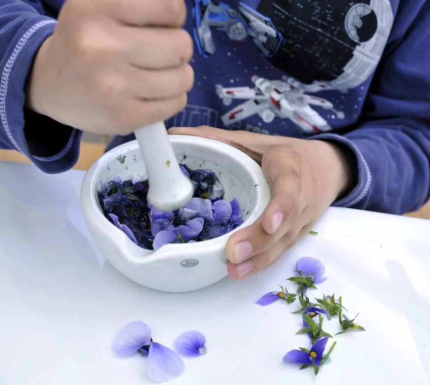 Ein Mädchen zerkleinert Blüten mit einem Stößel