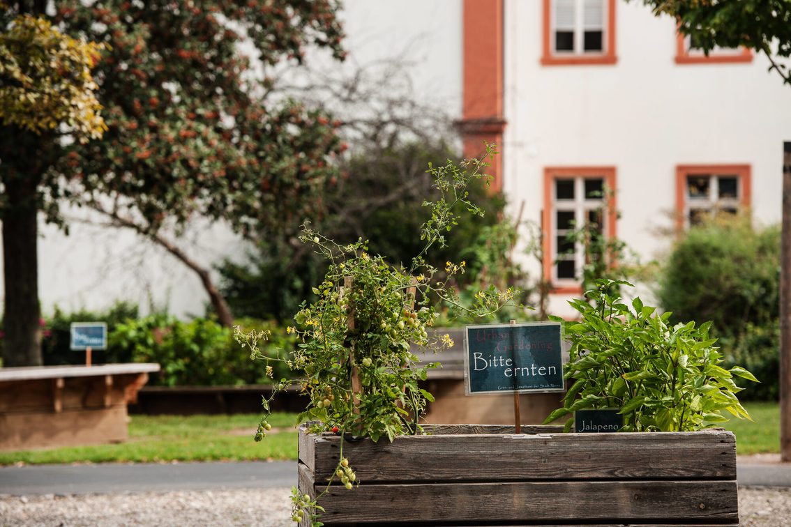 Jardinage urbain sur la place Romano-Guardini