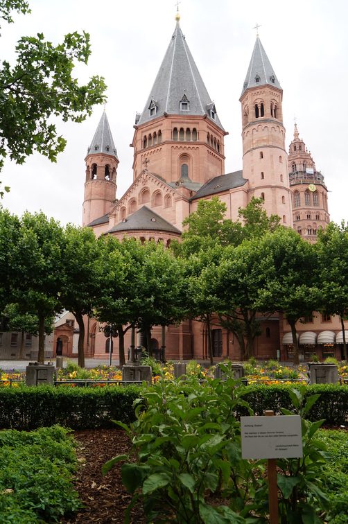 Urban Gardening sur la Liebfrauenplatz
