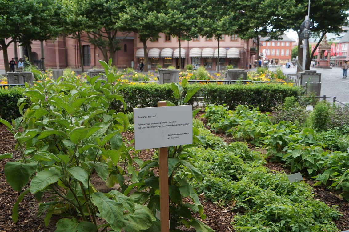 Urban Gardening sur la Liebfrauenplatz
