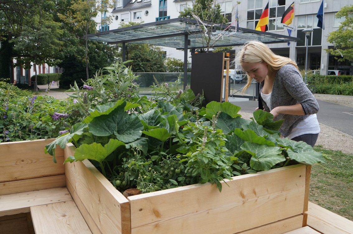 Une jeune femme examine une caisse d'Urban Gardening