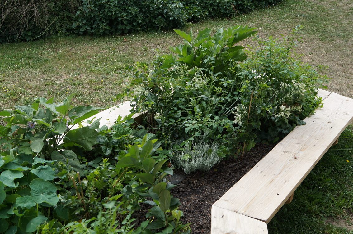 Jardinage urbain sur la place Romano-Guardini