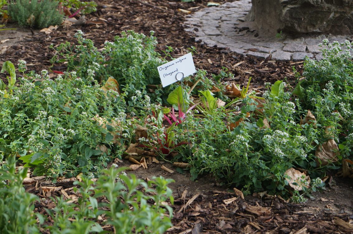 Jardinage urbain sur la Schillerplatz