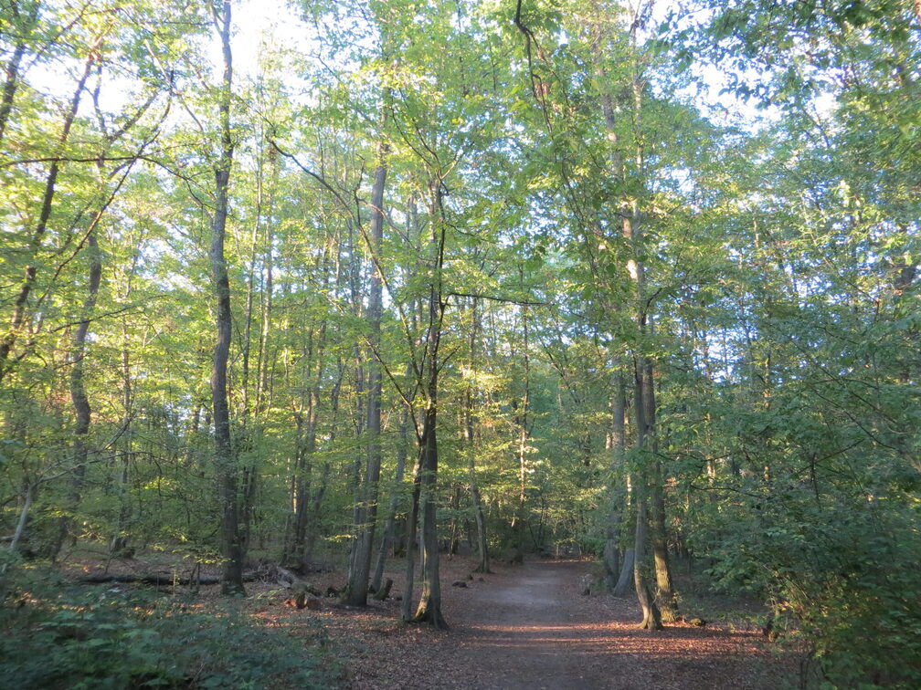 Naherholung Lerchenberg