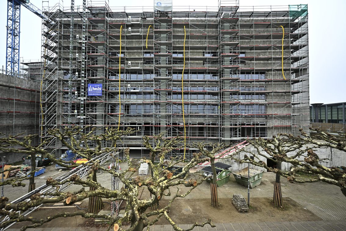 Rathaus mit Baugerüst von außem, im Vordergrund Platanen.