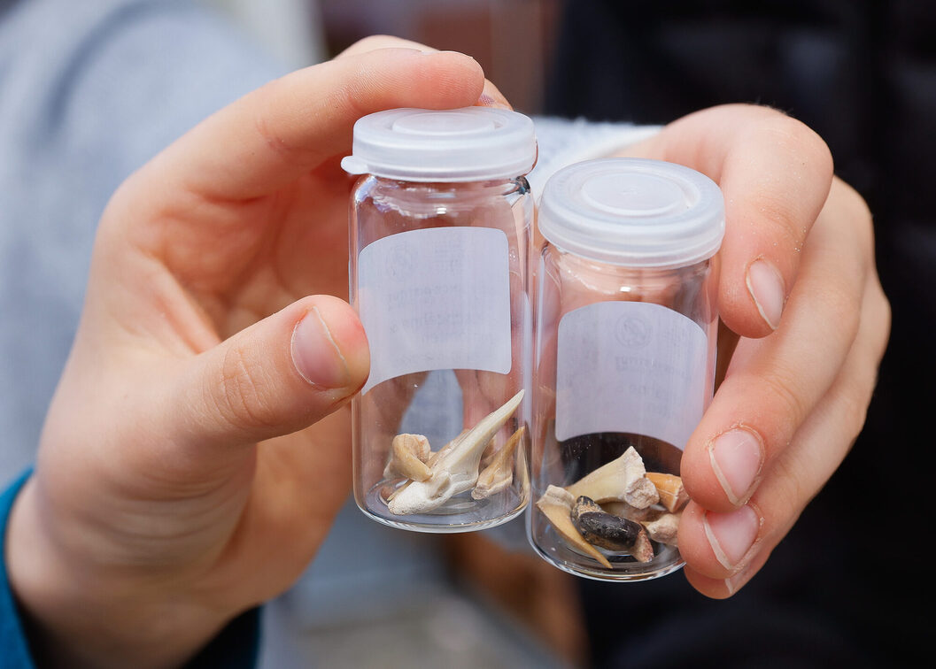 Wissenschaftsmarkt 2025