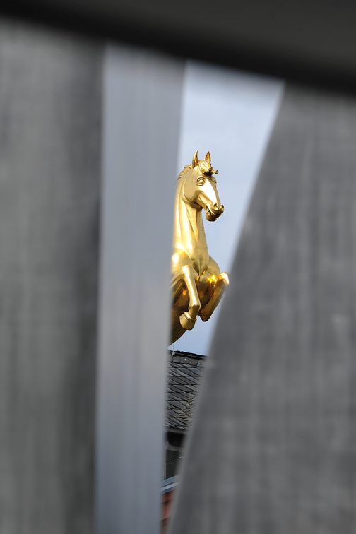 Goldenes Ross auf dem Dach des Landesmuseums