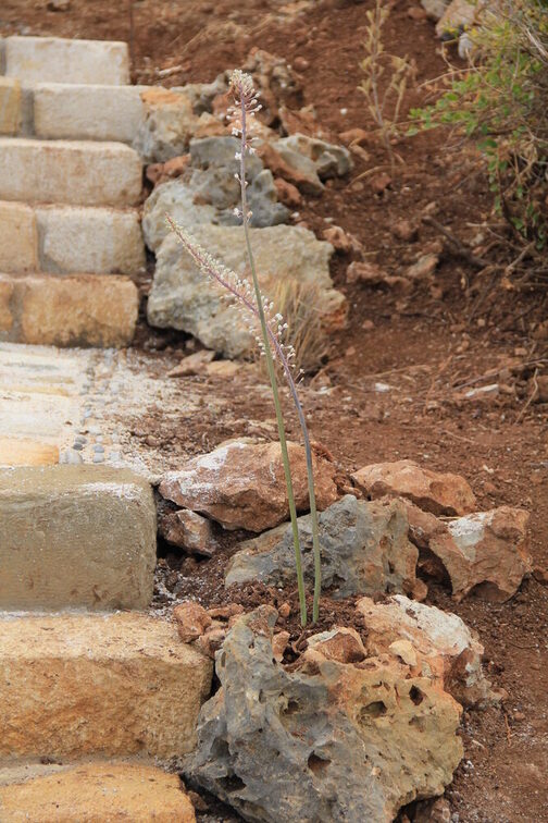 Überbetriebliche Ausbildung Gärtner:innen auf Kreta