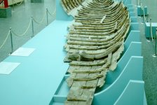 Bildergalerie MufAS Museum für Antike Schiffahrt Überreste eines Schiffs