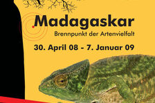 Bildergalerie Sonderausstellungen Madagaskar: Brennpunkt der Artenvielfalt.