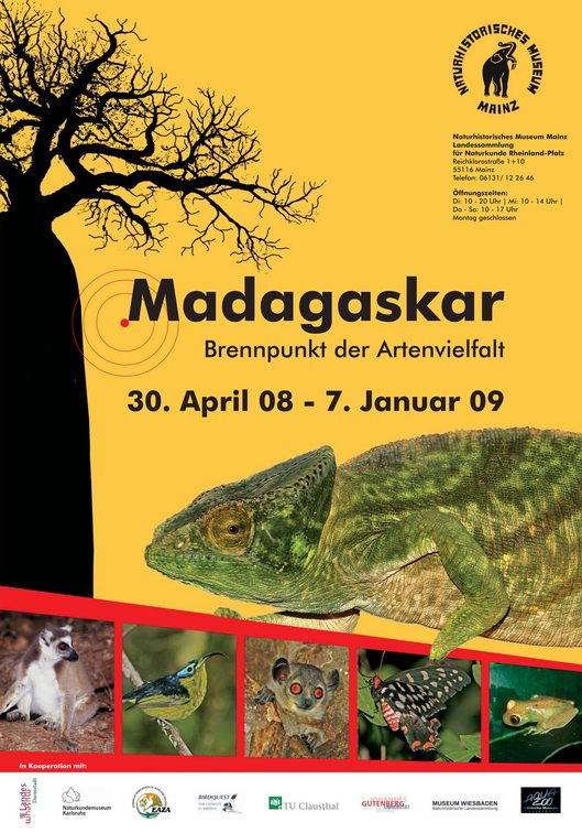 Madagascar: punto caliente de biodiversidad.
