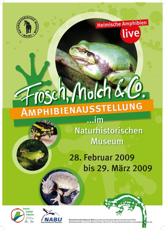 Forsch, tritón y compañía: exposición de anfibios.
