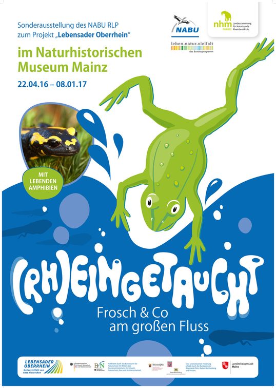 (Rh)inmersos. Frog & Co. en el gran río.