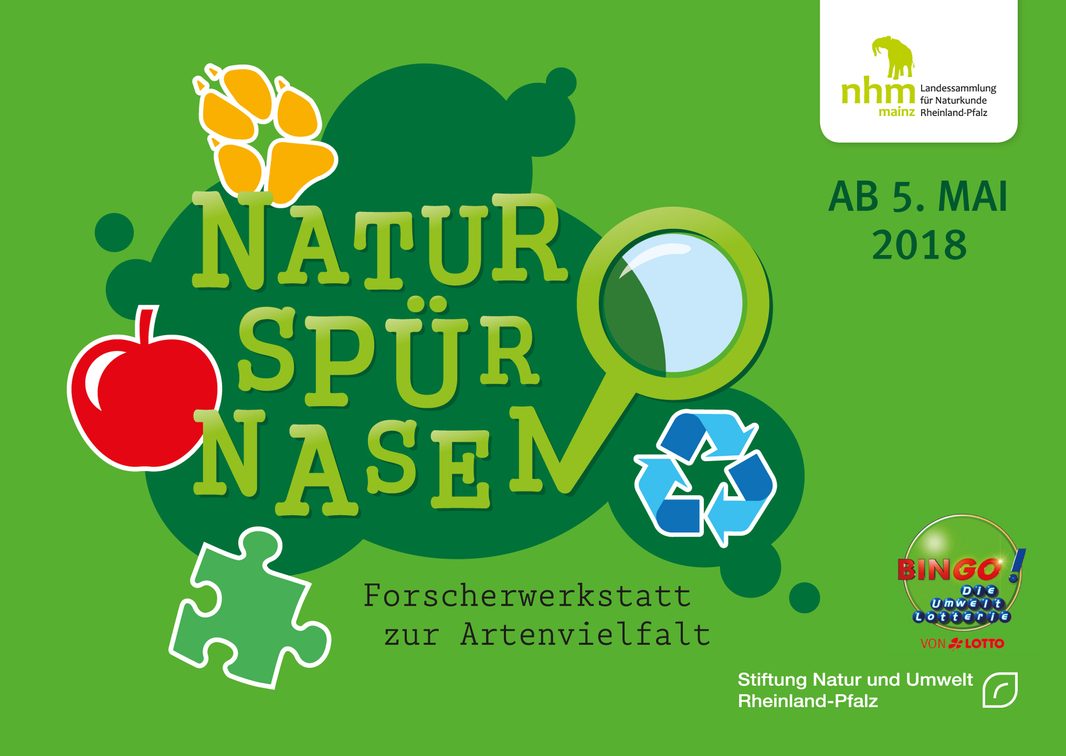 Cazadores de naturaleza: Taller de investigación sobre biodiversidad.