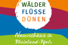 Bildergalerie Sonderausstellungen Wälder, Füsse, Dünen: Naturschätze in Rheinland-Pfalz.