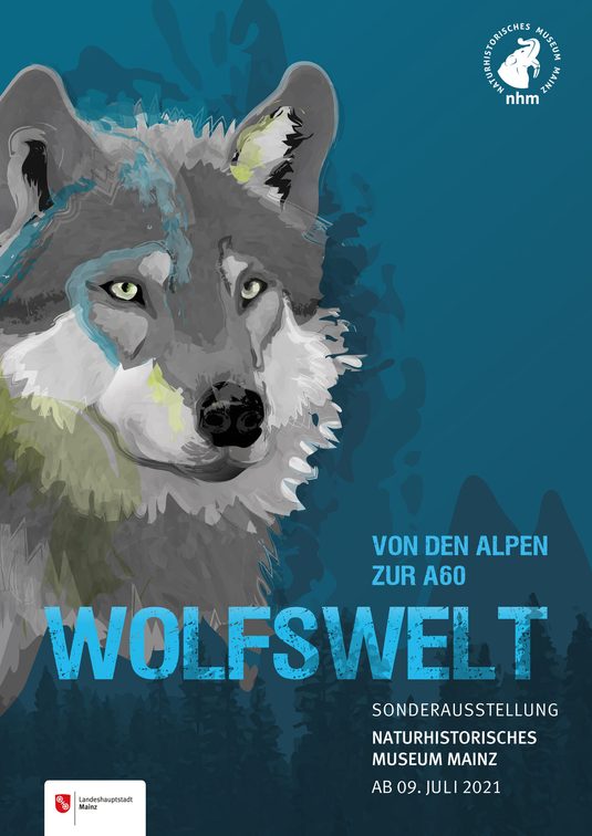 El mundo de Wolf: de los Alpes a la autopista A60.