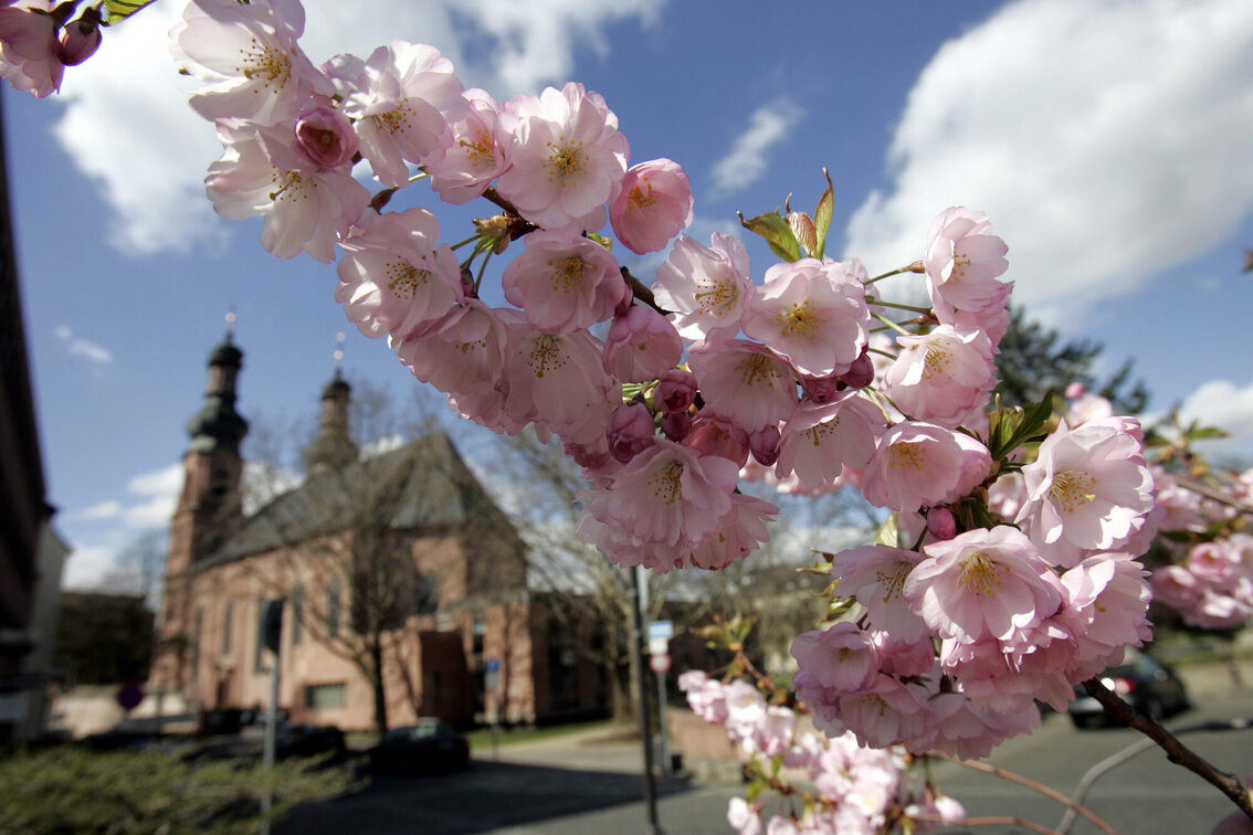 St. Peter im Frühling